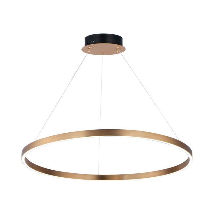 Groove LED Pendant Light in Gold (31.5-Inch).