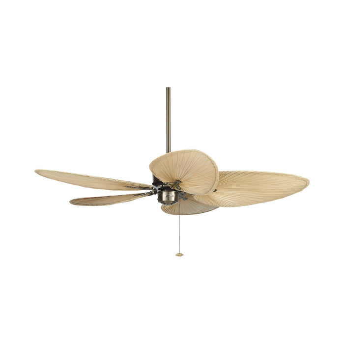 Islander 52 Inch Ceiling Fan in Antique Brass/Natural Palm/Narrow.