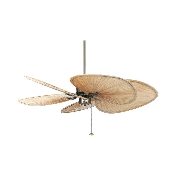 Islander 52 Inch Ceiling Fan in Antique Brass/Natural Palm/Wide.