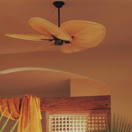 Islander 52 Inch Ceiling Fan in living room.