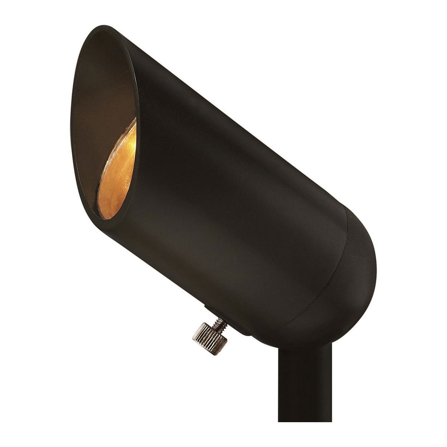 Spot Light in Large/Bronze.