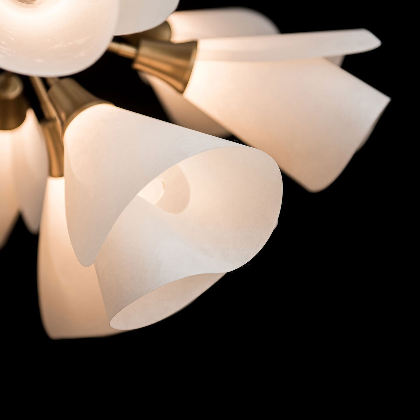 Mobius Multi-Light Pendant Light in Detail.