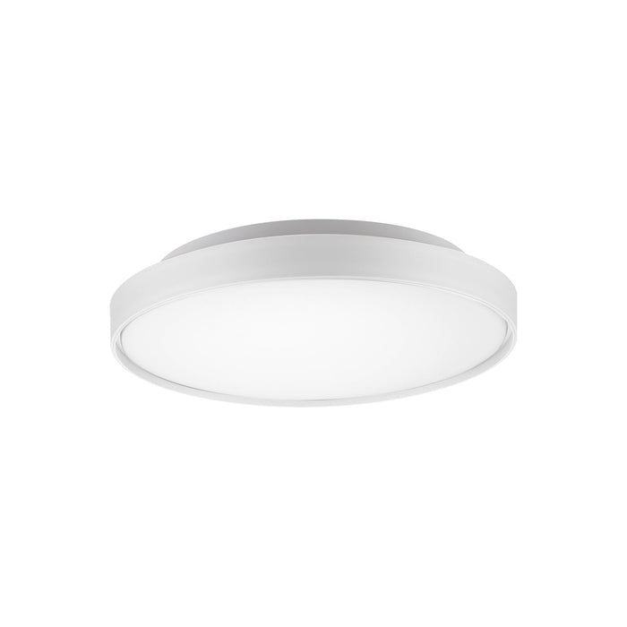 Brunswick LED Flushmount Ceiling Light in White (Small).