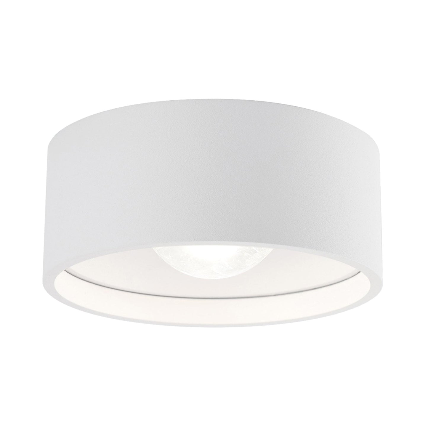 Trenton Outdoor LED Flush Mount Ceiling Light in Clear Glass/White.