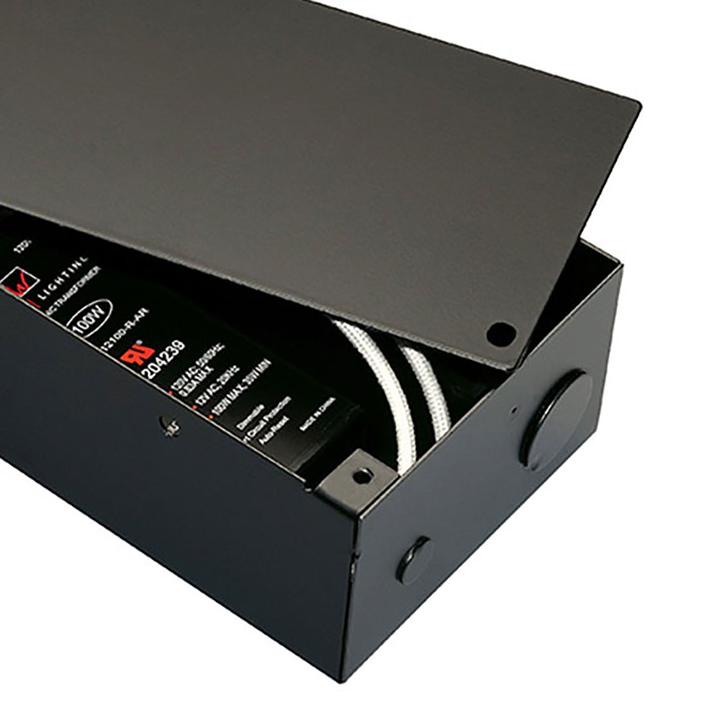 Large Electronic Transformer Enclosure in Detail.