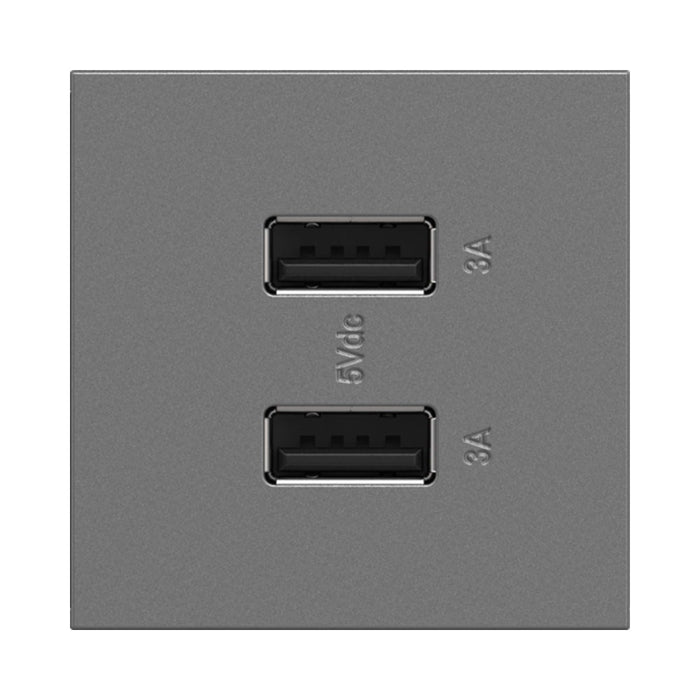 adorne® Full-Size, A/A USB Outlet in Magnesium.
