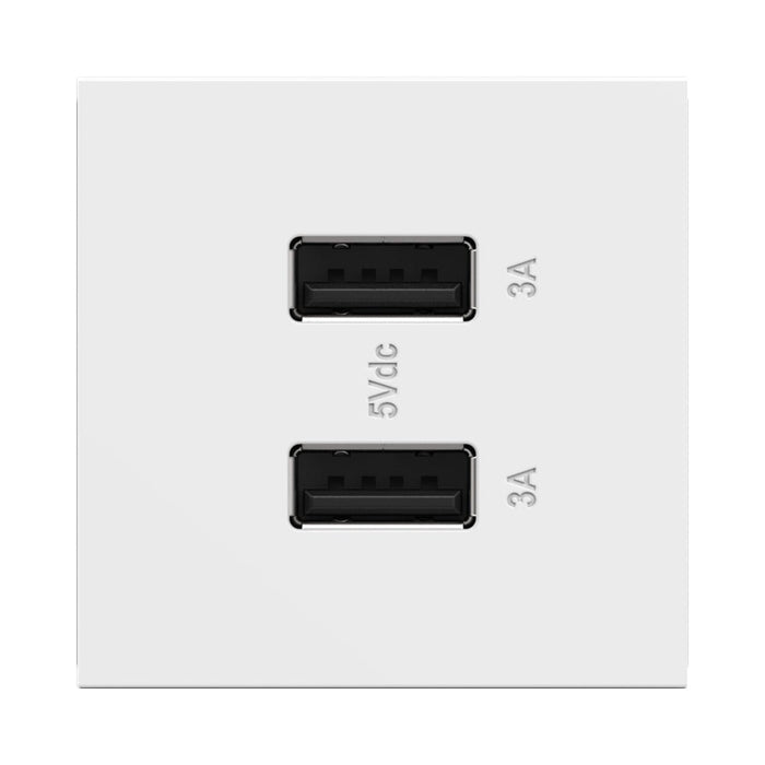 adorne® Full-Size, A/A USB Outlet in White.