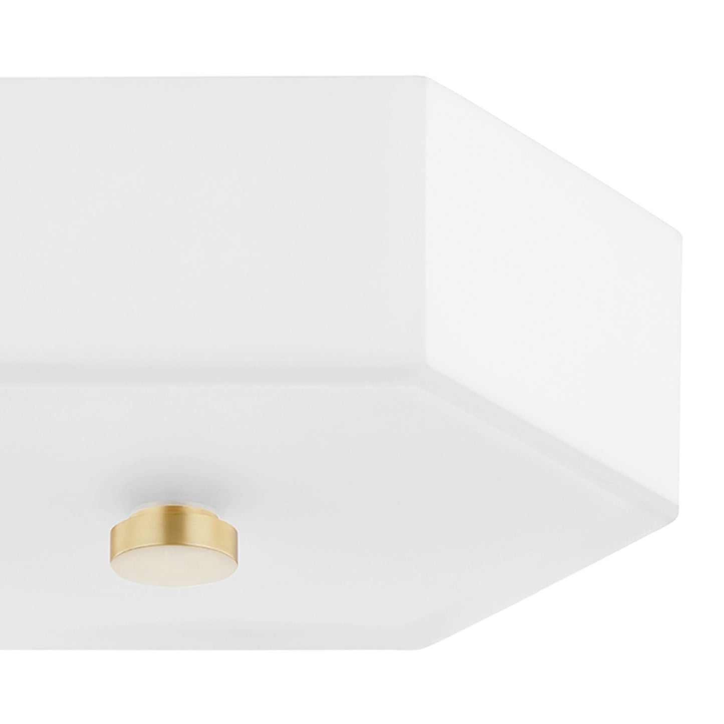 Lizzie LED Flush Mount Ceiling Light in Detail.