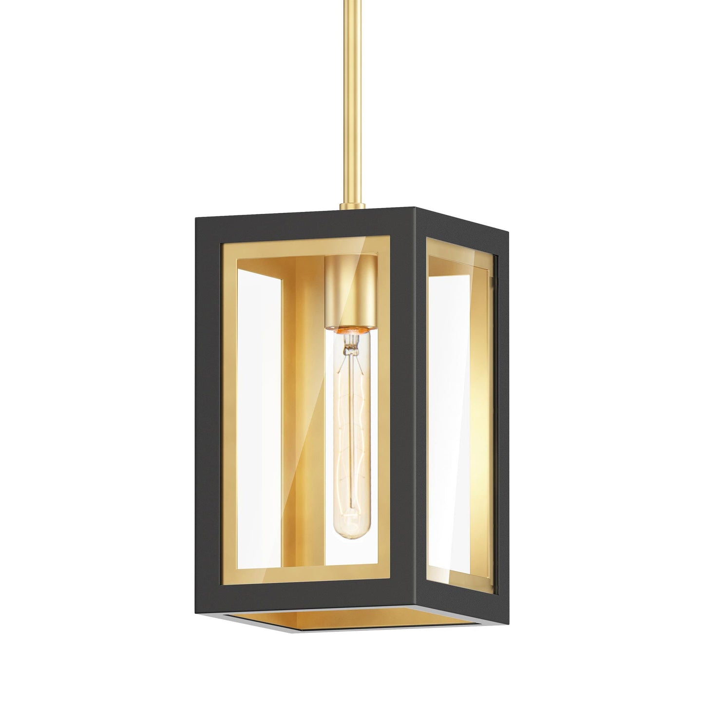 Neoclass Outdoor Pendant Light in Black/Gold (1-Light).