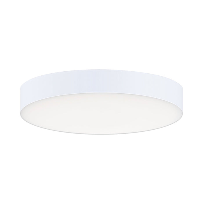 Trim LED Flush Mount Ceiling Light in White (X-Small/Round).
