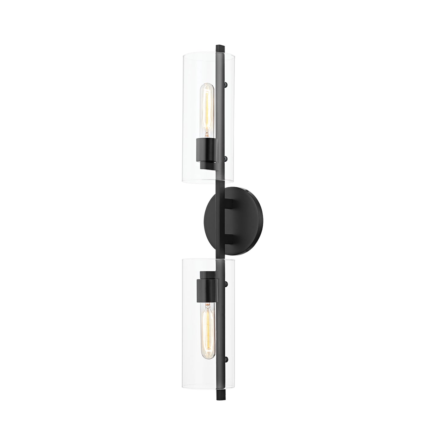 Ariel Wall Light in Black (2-Light).