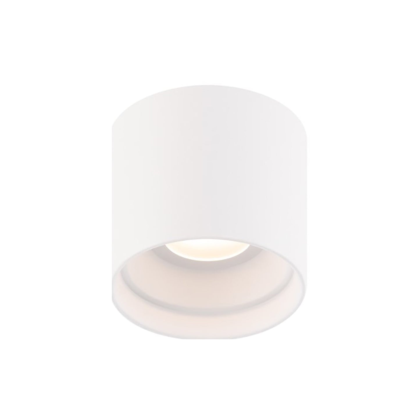 Squat Outdoor LED Flush Mount Light in White (4.5-Inch).