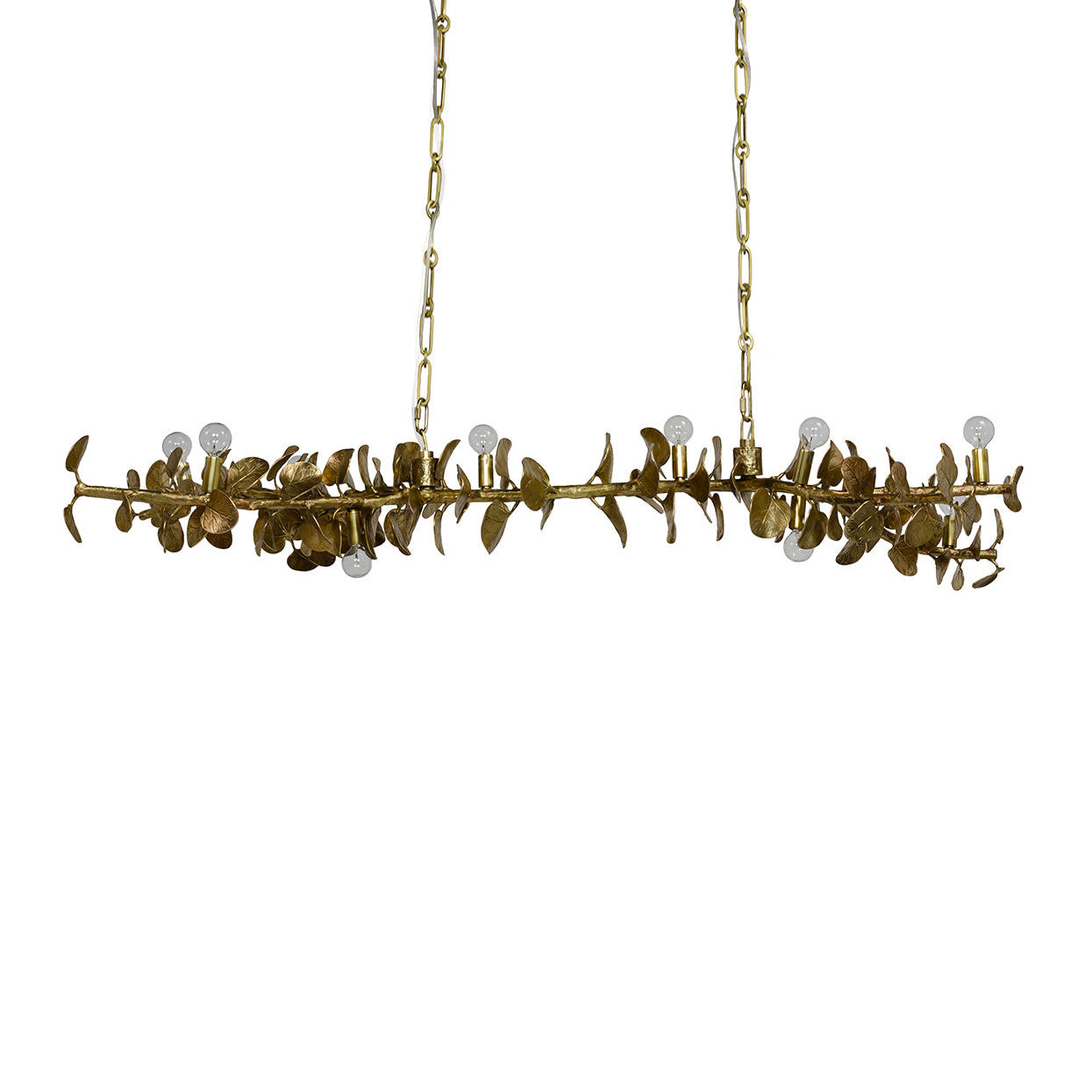 Eucalyptus Chandelier in Matte Brass.