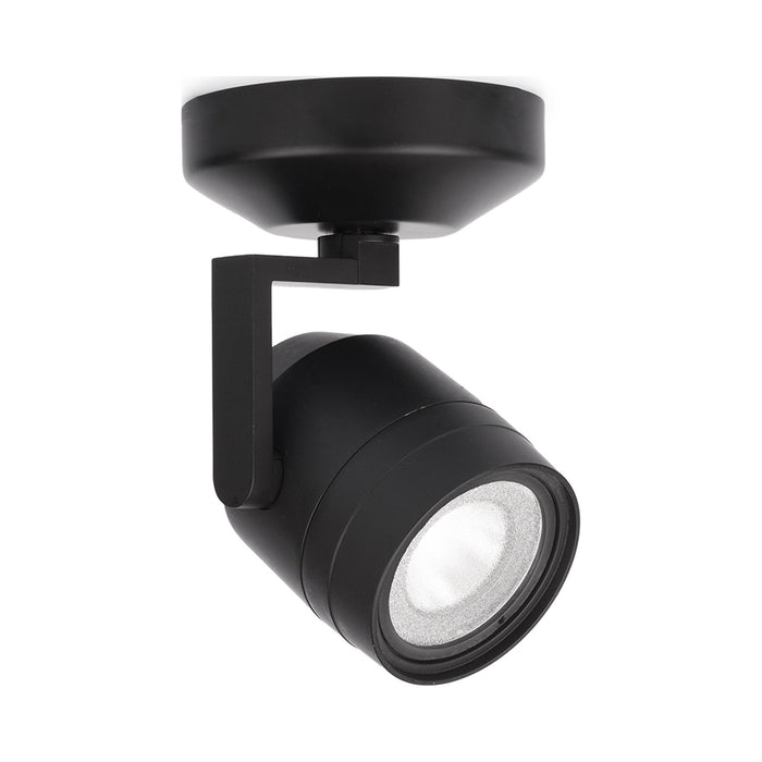 Paloma 512 LED Monopoint Spot Light in Black.