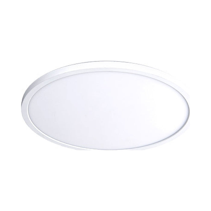 Round LED Ceiling/Wall Light in Medium/White.