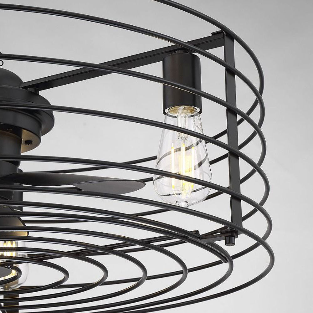 Meridian M2007 Fan D'Lier in Detail.