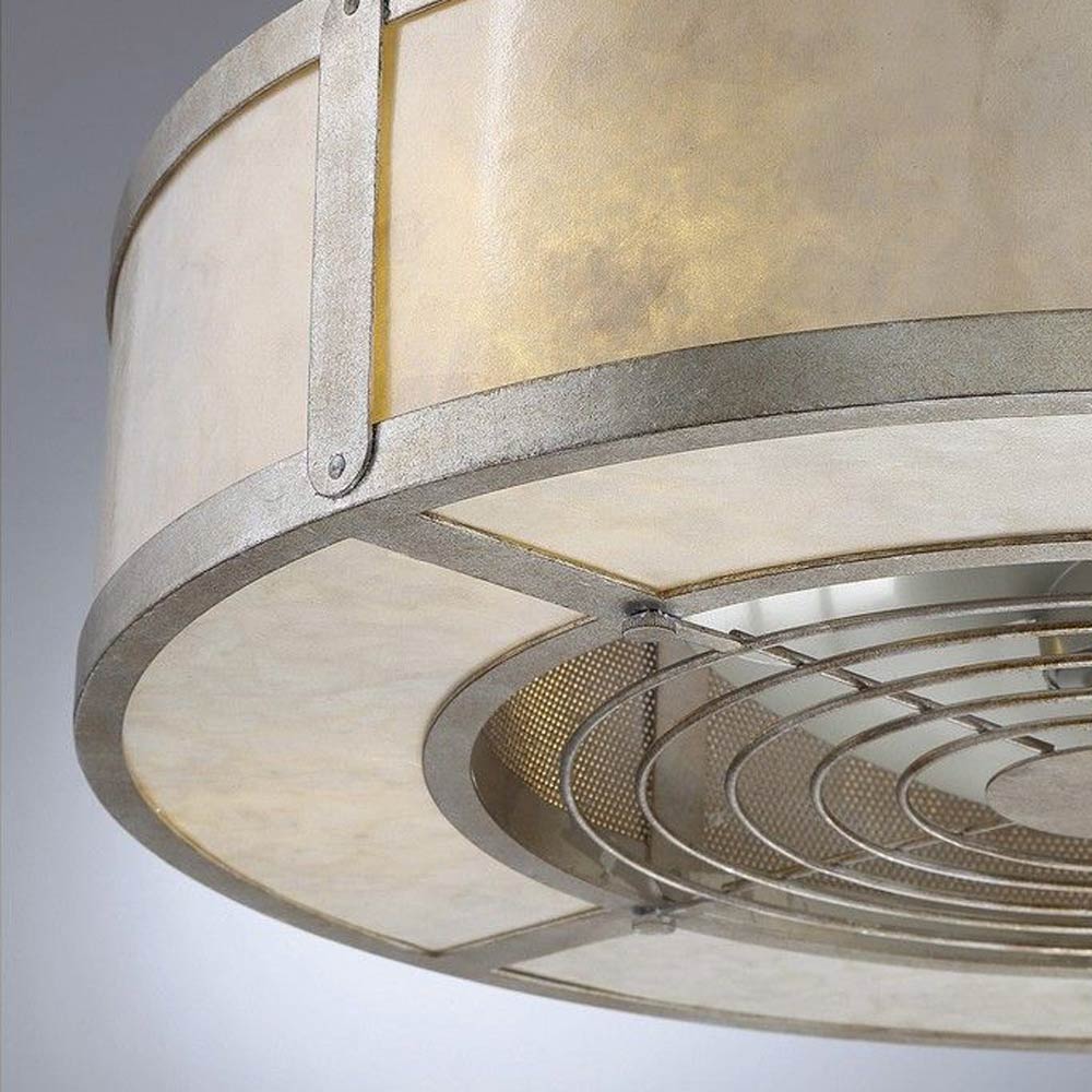 Vireo Fan D'Lier in Detail.