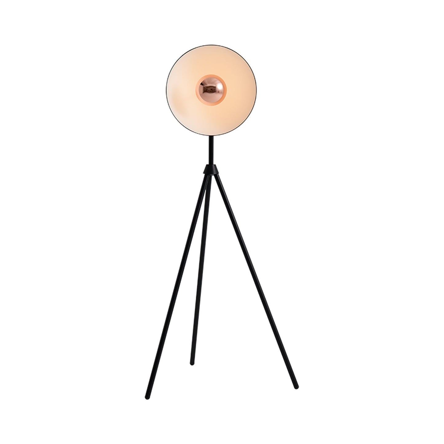 Apollo LED Floor Lamp in Steel/Black.