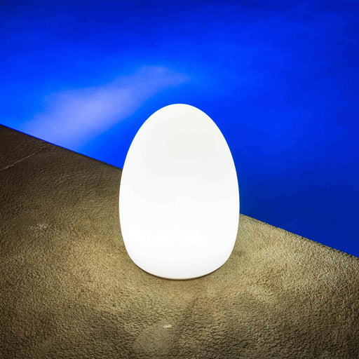 Egg Bluetooth Outdoor LED Lamp.