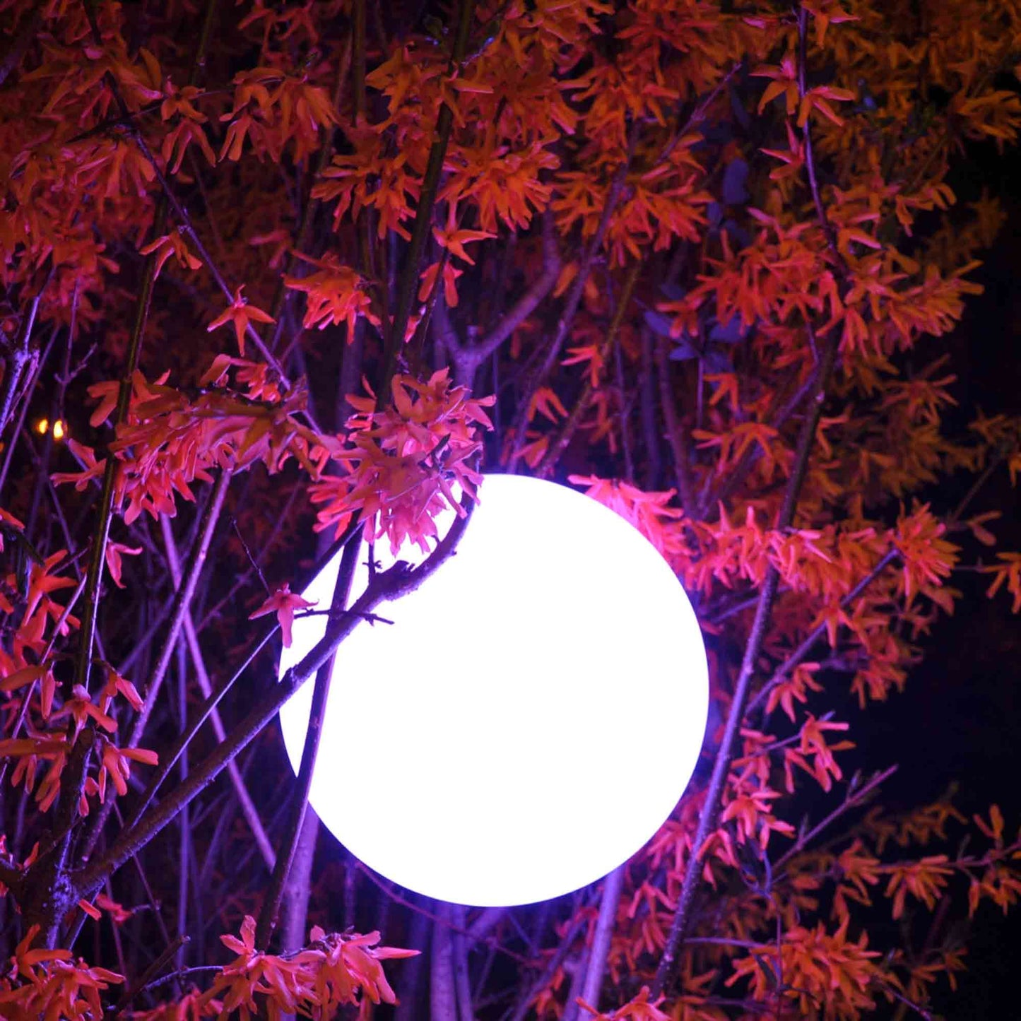 Pearl Bluetooth Outdoor LED Lamp in Detail.