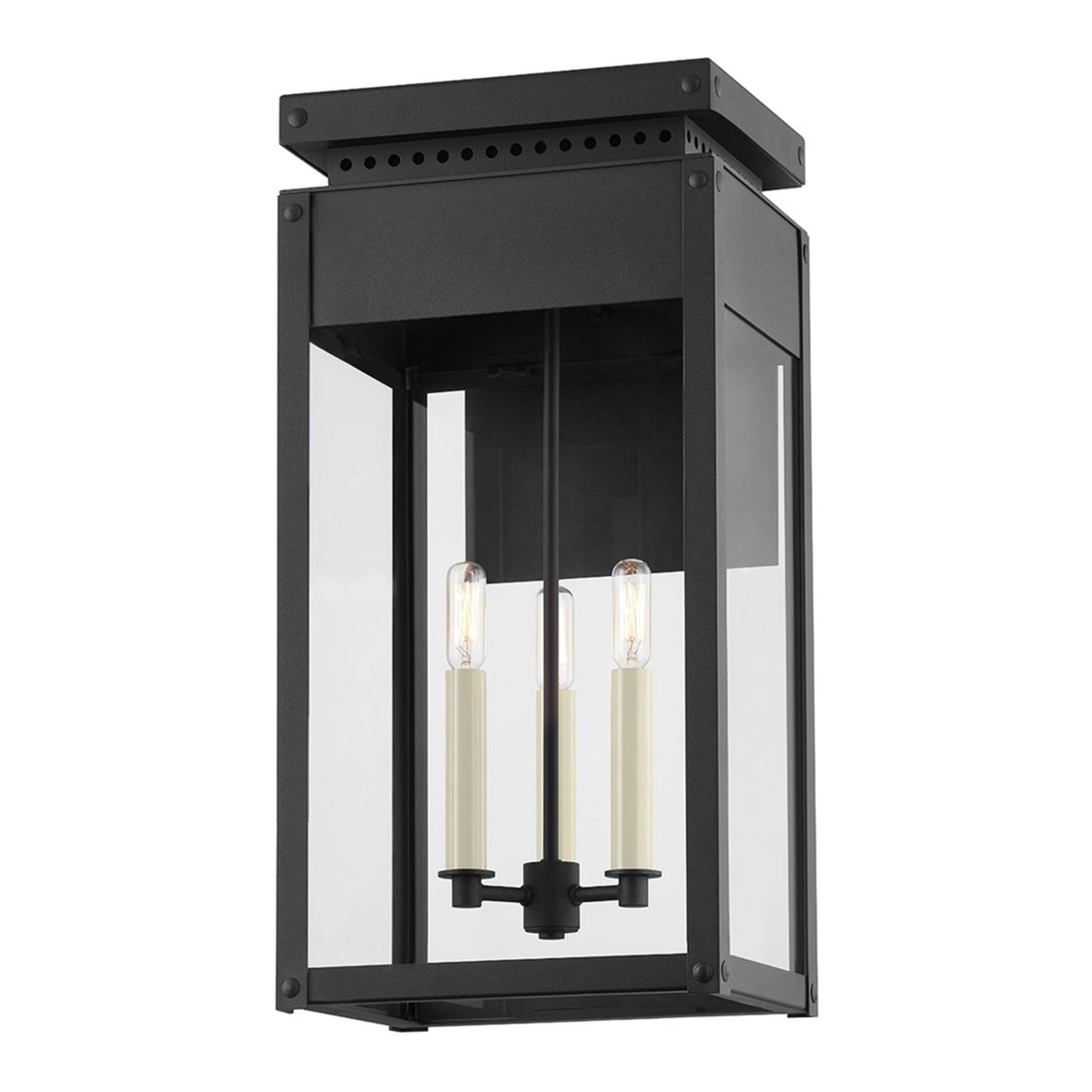 Braydan Outdoor Wall Light (Large).