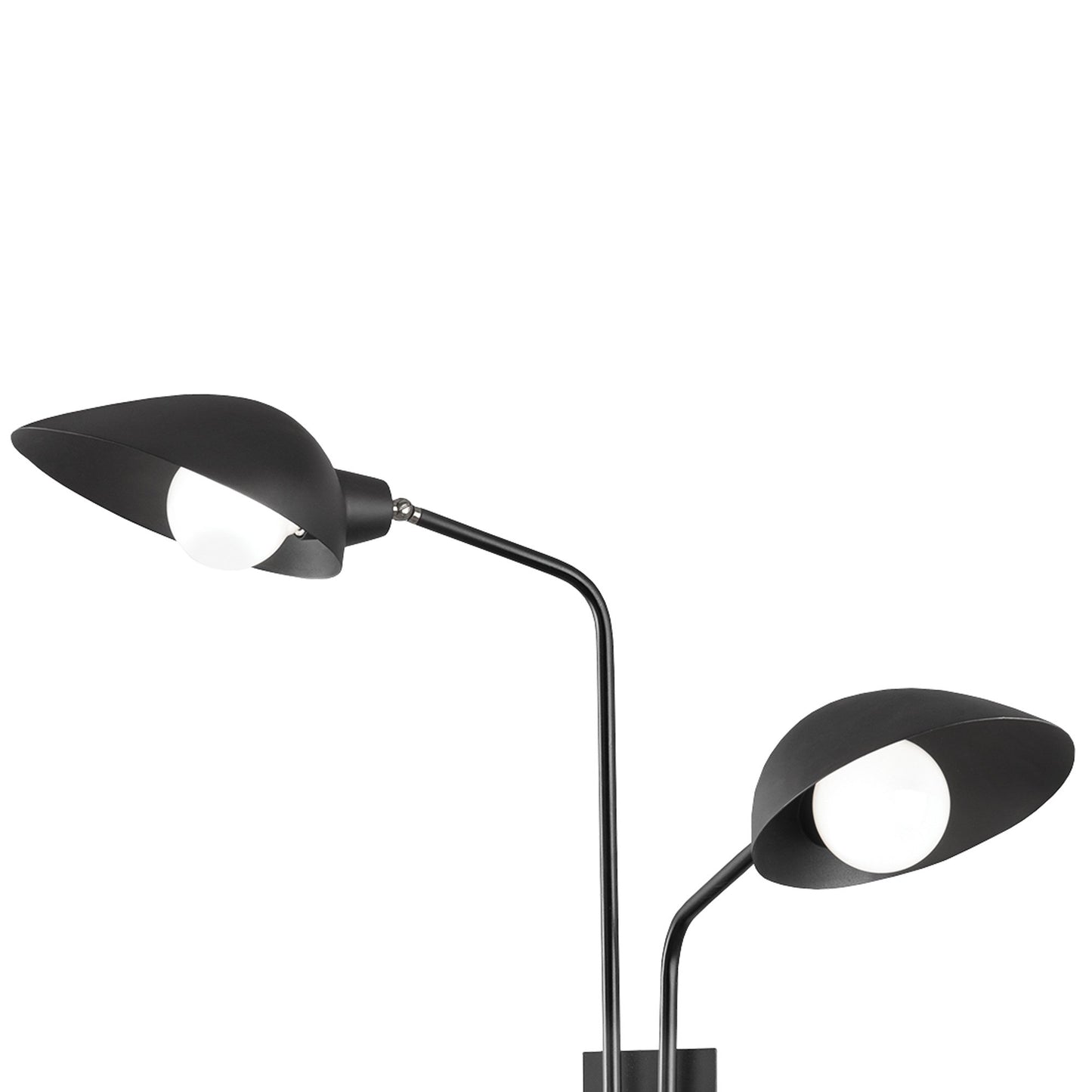 Leo Wall Light in Detail.