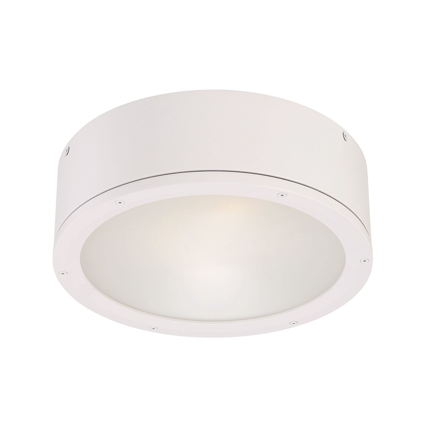 Tube LED Flush Mount Ceiling Light in White (Large).