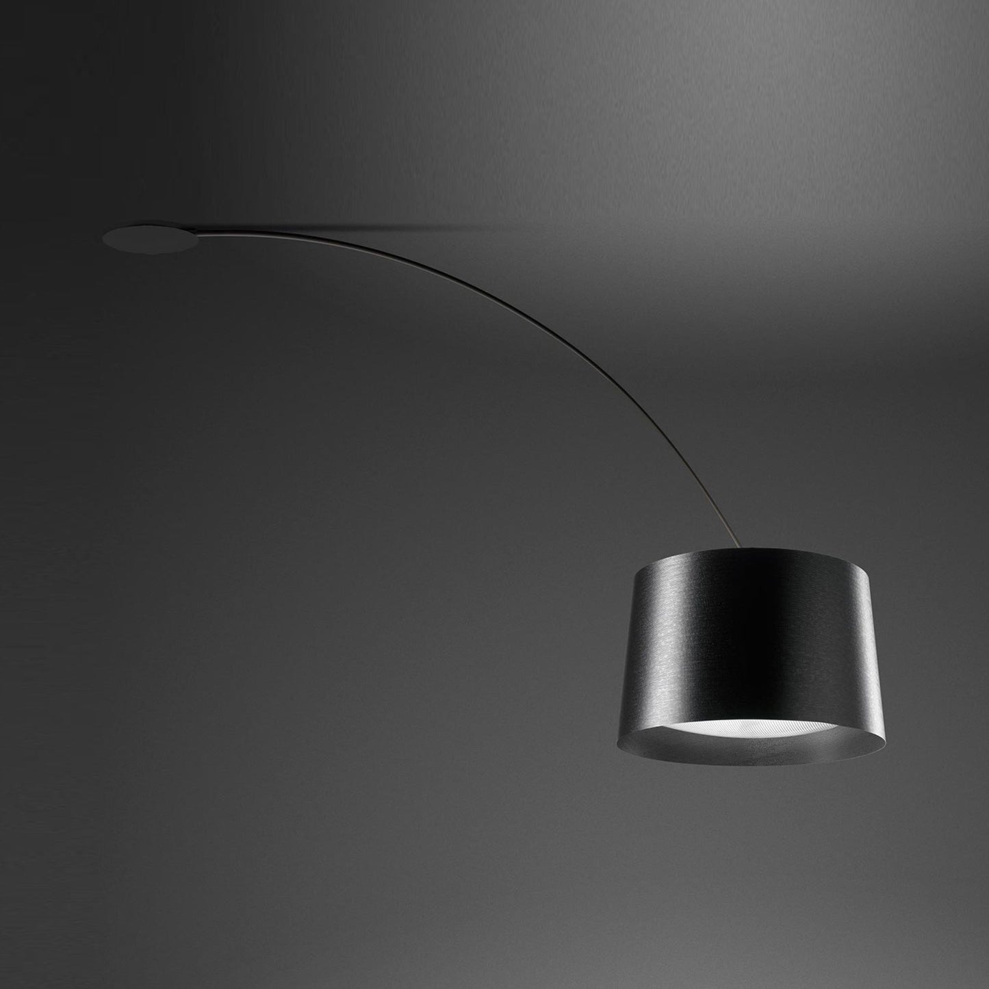 Twiggy Ceiling Light in Black.
