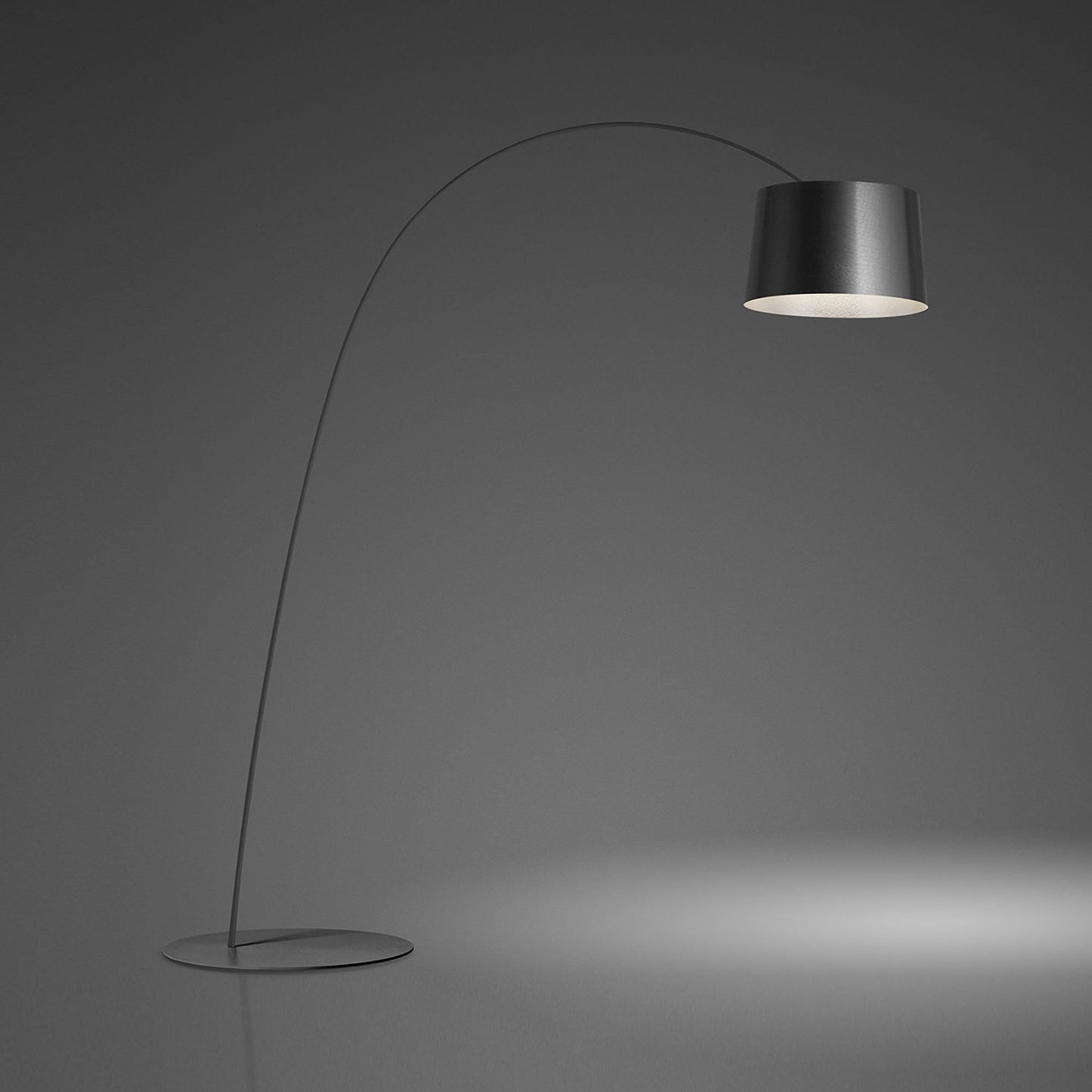 Twiggy Floor Lamp in Graphite.