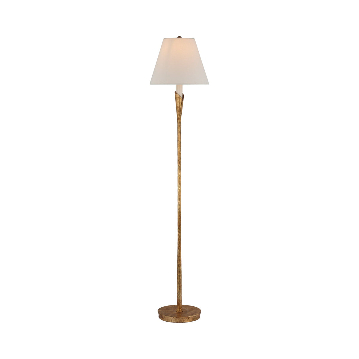Aiden Accent Floor Lamp in Gilded Iron.
