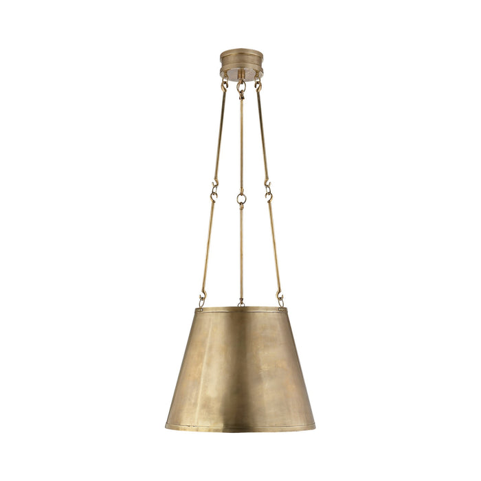 Lily Pendant Light in Natural Brass.