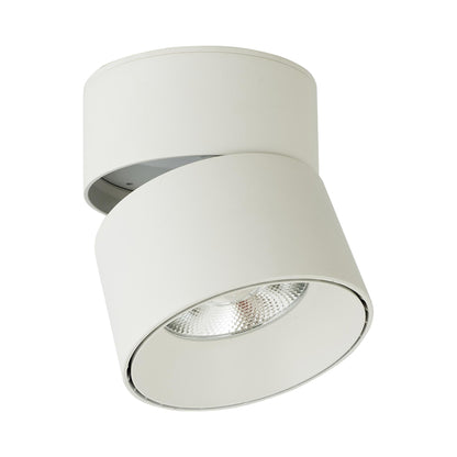 Arc Rotate LED Spot Light.