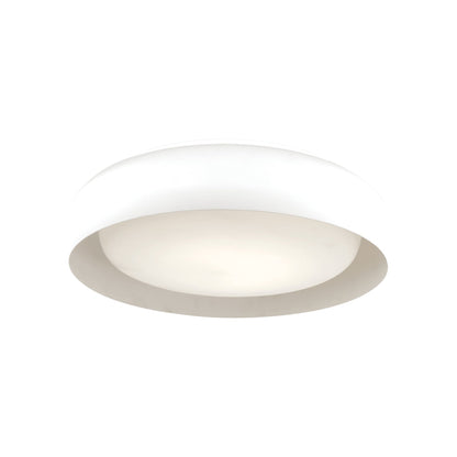 Euphoria LED Flush Mount Ceiling Light in White (15-Inch).