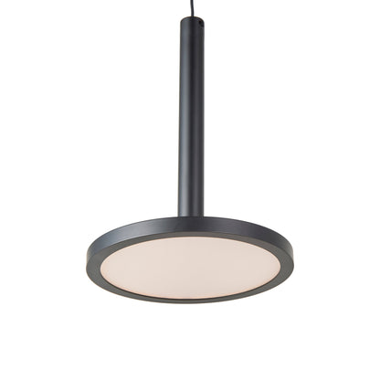 Flip LED Pendant Light in Matte Black.