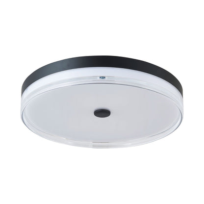 Iris LED Flush Mount Ceiling Light in Matte Black (20-Inch).