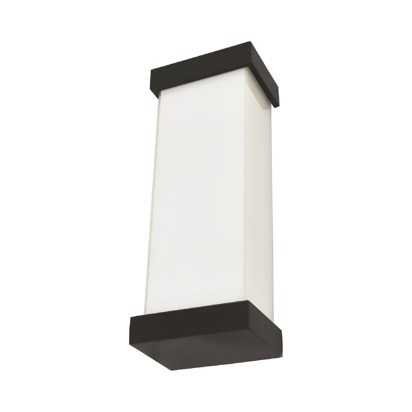 Loki Outdoor LED Wall Light in Matte Black (18.7-Inch).