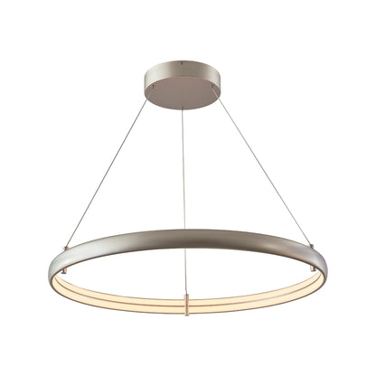 Sling Ring LED Pendant Light in Titanium Silver (Medium).