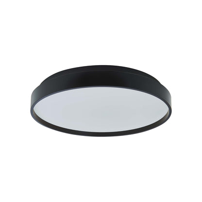 Tambourine LED Flush Mount Ceiling Light.