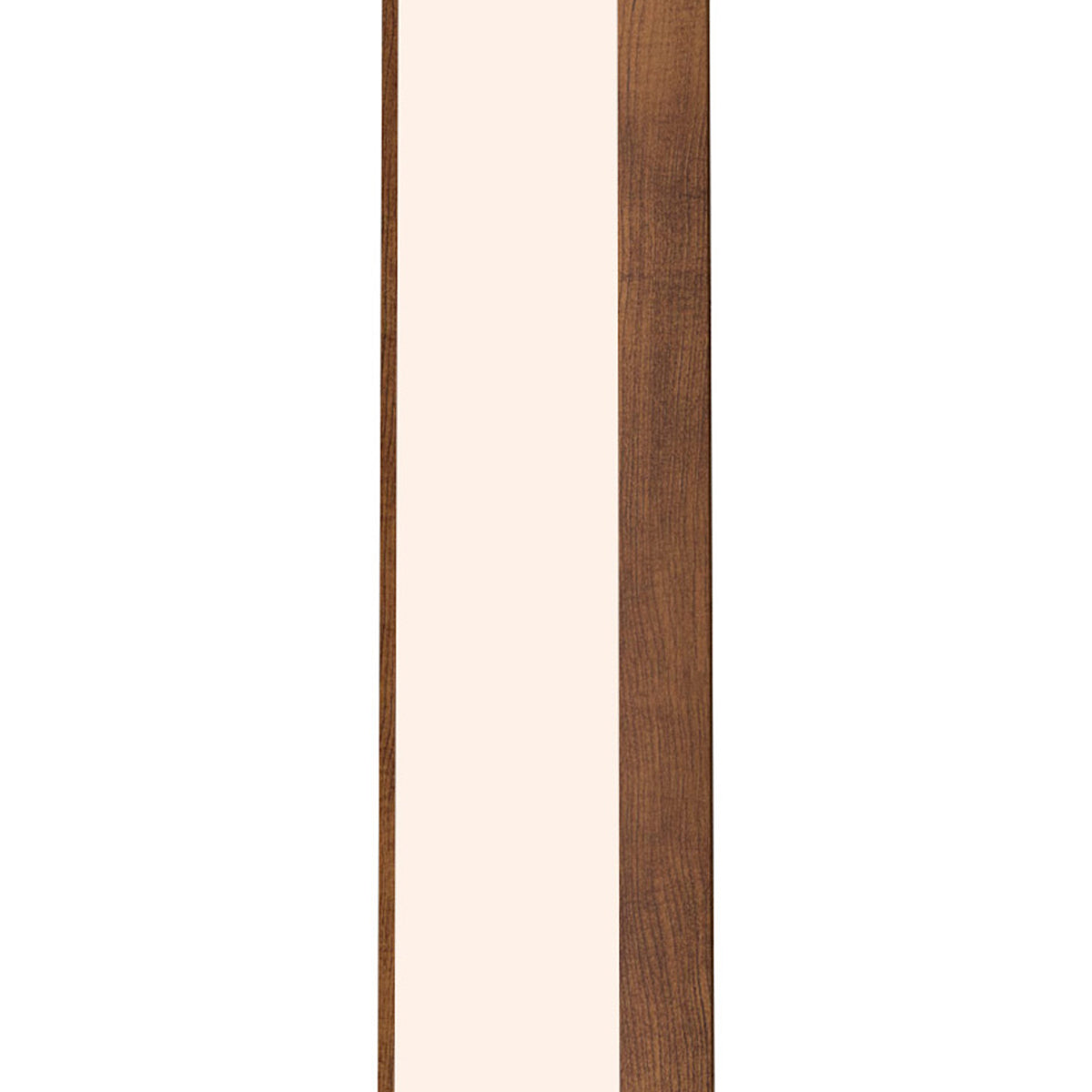 Clean Vertical Wall Light in Detail.