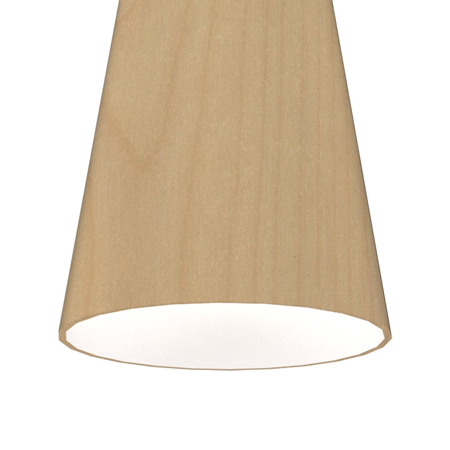 Conical 1233 Pendant Light in Detail.