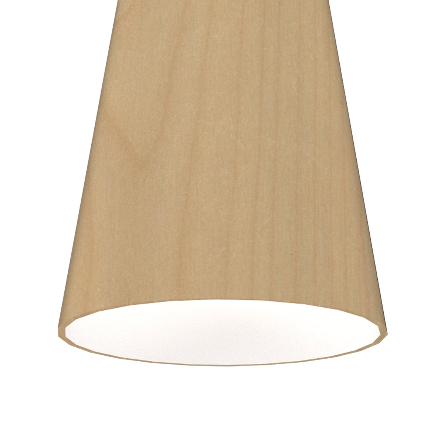 Conical 1233 Pendant Light in Detail.