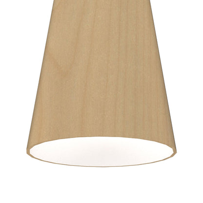 Conical 1233 Pendant Light in Detail.