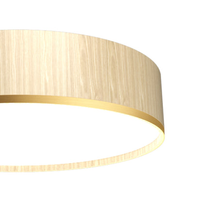 Cylindrical 51 LED Flush Mount Ceiling Light in Detail.