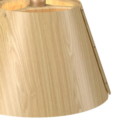 Element 1536 Pendant Light in Detail.