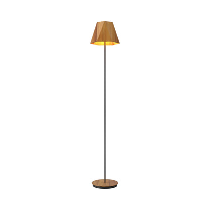 Facet 3055 Floor Lamp in Teak.