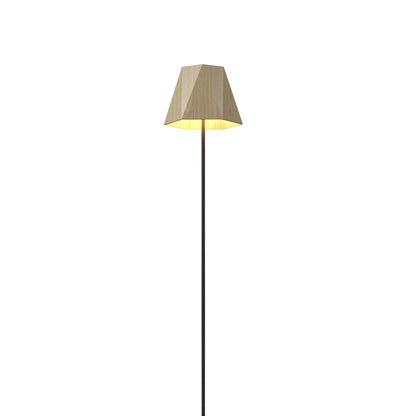 Facet 3055 Floor Lamp in Detail.