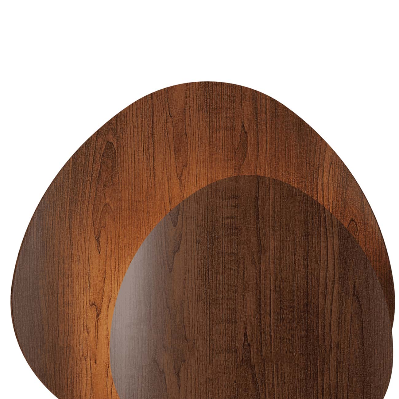 Leaf Wall Light in Detail.
