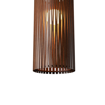 Living Hinges 14845 Pendant Light in Detail.