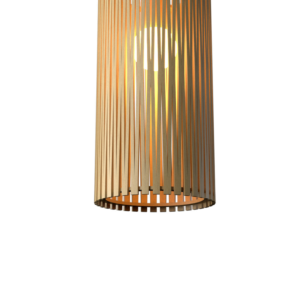 Living Hinges 14845 Pendant Light in Detail.