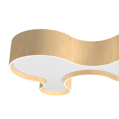 Organic LED Flush Mount Ceiling Light in Detail.